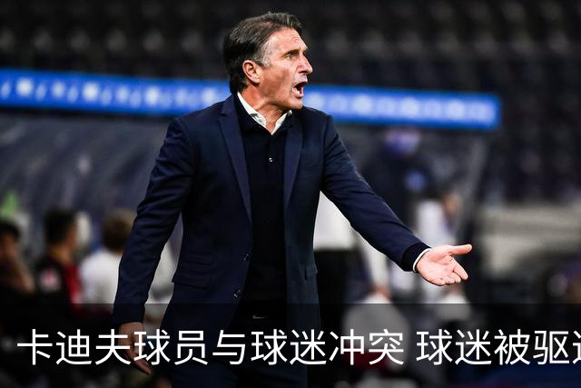 卡迪夫球员与球迷冲突 球迷被驱逐球员未受罚